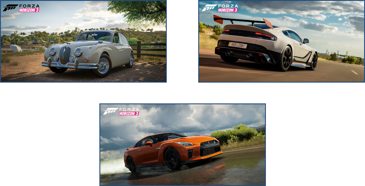 fh3.png