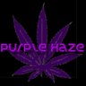 Purple_Haze