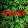 Saawee
