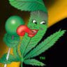 KannabisBoys