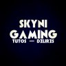 Skyni-Gaming
