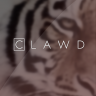 clawd31